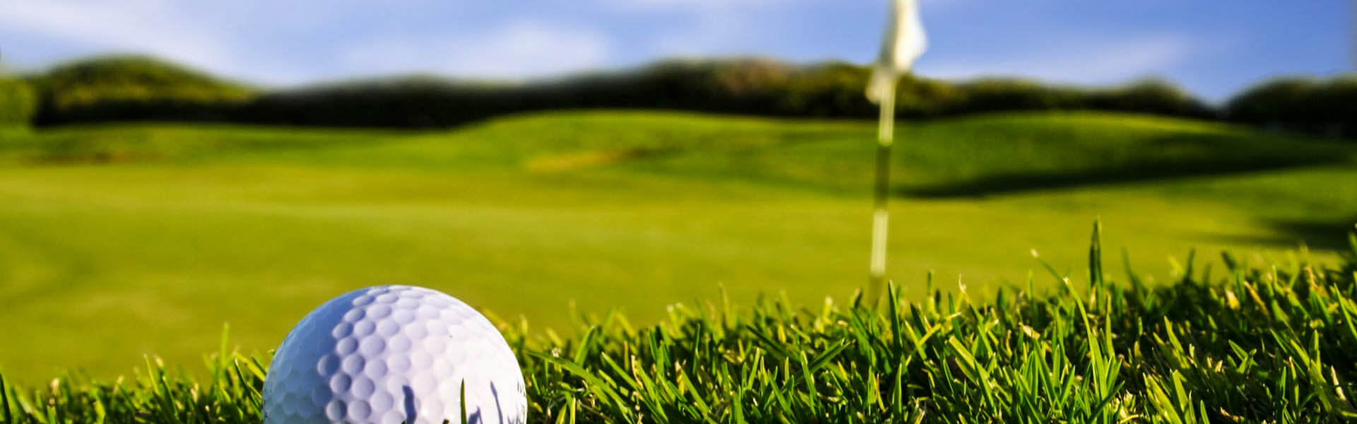 Golfing in Green Delhi